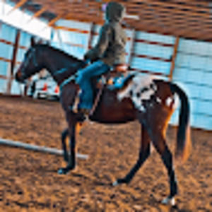 Meet your Posher, Hayden